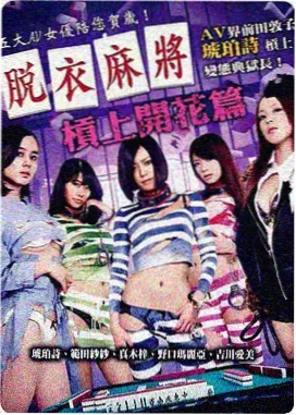 回声档案封面